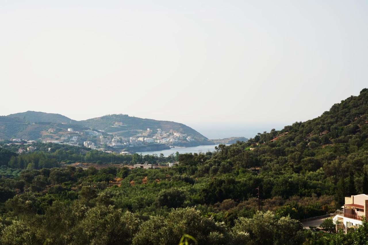 Alexandra Villa Bali  Εξωτερικό φωτογραφία